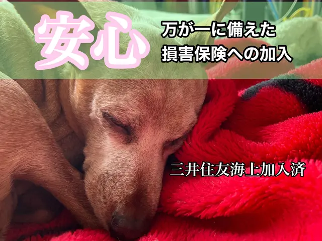 🛜【初めての方にも安心♪】カビ汚れ徹底洗浄【完全分解×除菌水】スッキリ仕上げサービスの画像