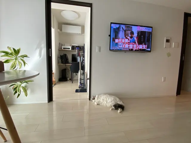 壁掛けテレビの設置サービスの画像