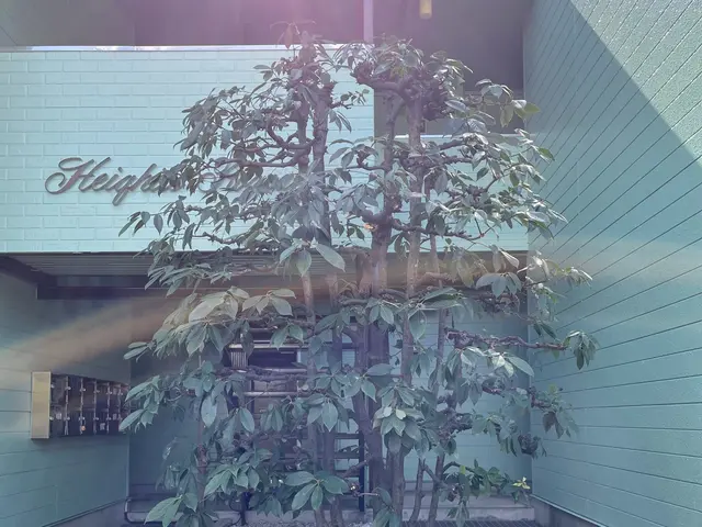 庭木の剪定、生垣の刈り込み、お庭のお悩み全て解消します！庭師にお任せ下さい！サービスの画像