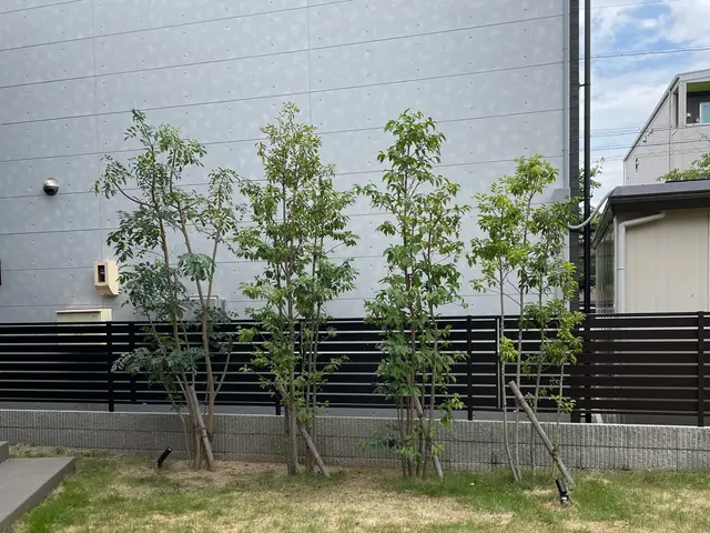 庭木の剪定、生垣の刈り込み、お庭のお悩み全て解消します！庭師にお任せ下さい！サービスの画像