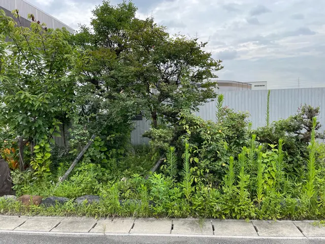 庭木の剪定、生垣の刈り込み、お庭のお悩み全て解消します！庭師にお任せ下さい！サービスの画像