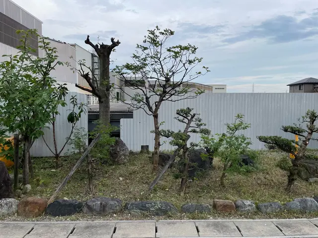 庭木の剪定、生垣の刈り込み、お庭のお悩み全て解消します！庭師にお任せ下さい！サービスの画像