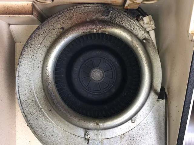 ★レンジフードの油汚れお任せ★お子様・ペット・環境に優しい天然植物洗剤を使用！サービスの画像