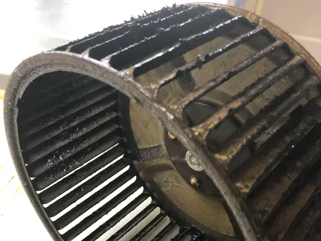 ★レンジフードの油汚れお任せ★お子様・ペット・環境に優しい天然植物洗剤を使用！サービスの画像