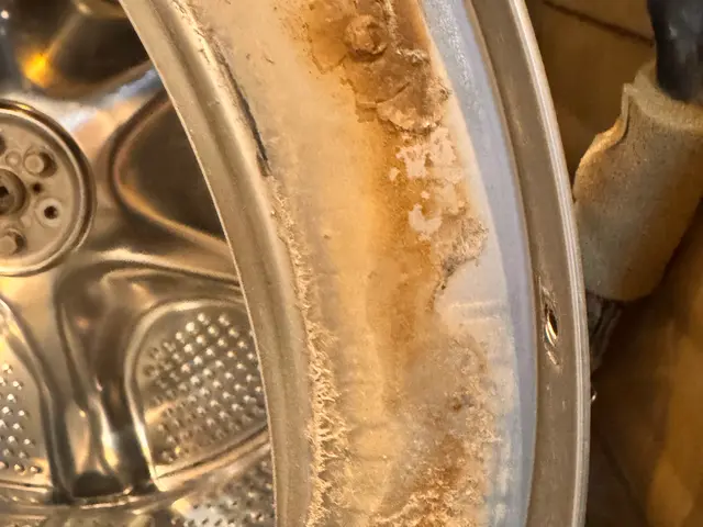 乾燥の時間が長いな？と思ったらお掃除サイン！地域実績No. 1宣言致します。サービスの画像