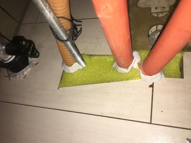 【多摩限定：水回りの侵入口封鎖も料金内】引越し前が効果的！対策法もお伝えします！サービスの画像