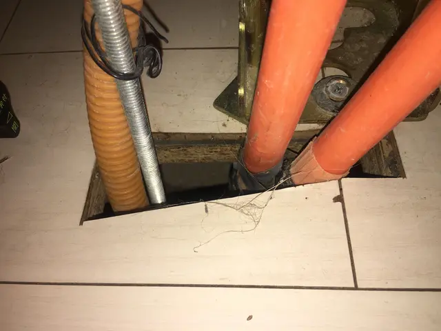 【多摩限定：水回りの侵入口封鎖も料金内】引越し前が効果的！対策法もお伝えします！サービスの画像