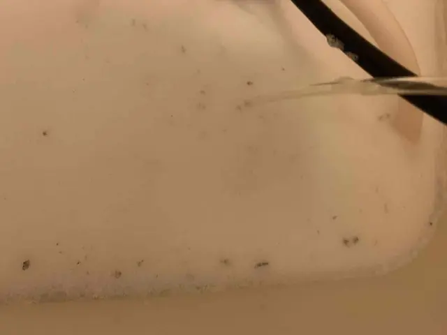 ◆風呂釜洗浄◆風呂釜配管の除菌！3年以上やってない方は是非お試し下さい。サービスの画像