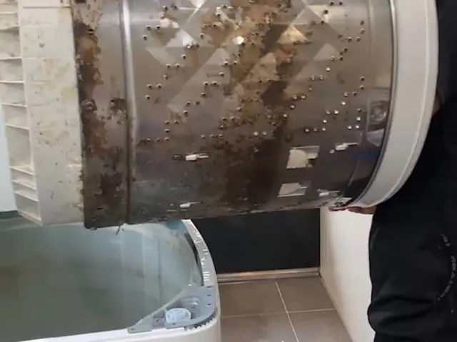 2児パパだからこそ分かる！家族を守る洗濯機クリーニング【ピカピカ新品同様に変身】サービスの画像