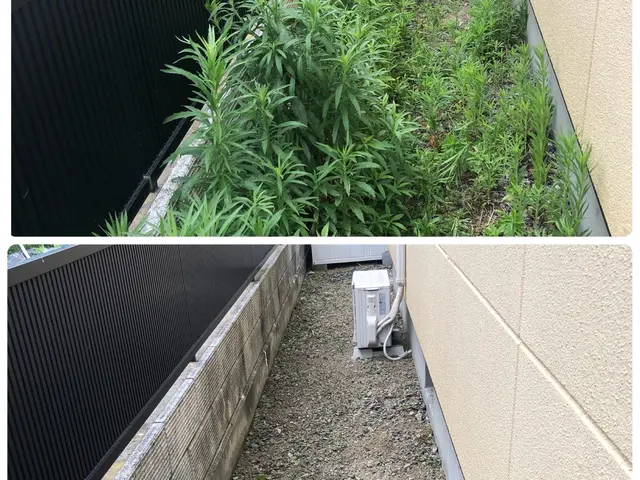 草刈りを迅速に対応します！ ※機械工具使用サービスの画像