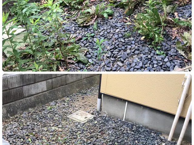 草刈りを迅速に対応します！ ※機械工具使用サービスの画像