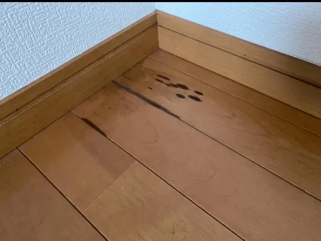 ◆14年の経験と2万件以上の実績◆あなたのフローリングや扉をプロが蘇らせます！サービスの画像