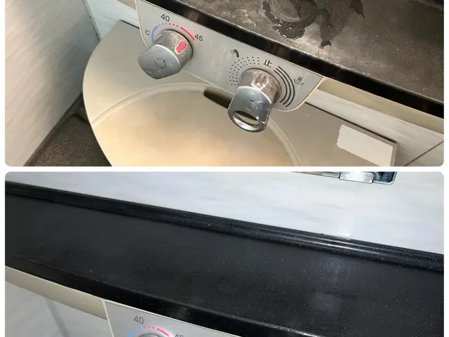 SDGsのハウスクリーニング！エコ洗剤を無理で施工！小さいお子様、ペットにも安心サービスの画像