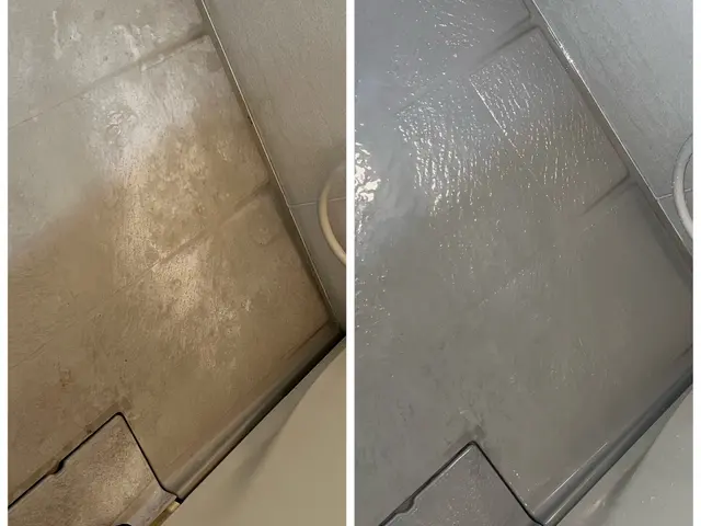 SDGsのハウスクリーニング！エコ洗剤を無理で施工！小さいお子様、ペットにも安心サービスの画像