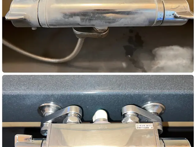 SDGsのハウスクリーニング！エコ洗剤を無理で施工！小さいお子様、ペットにも安心サービスの画像