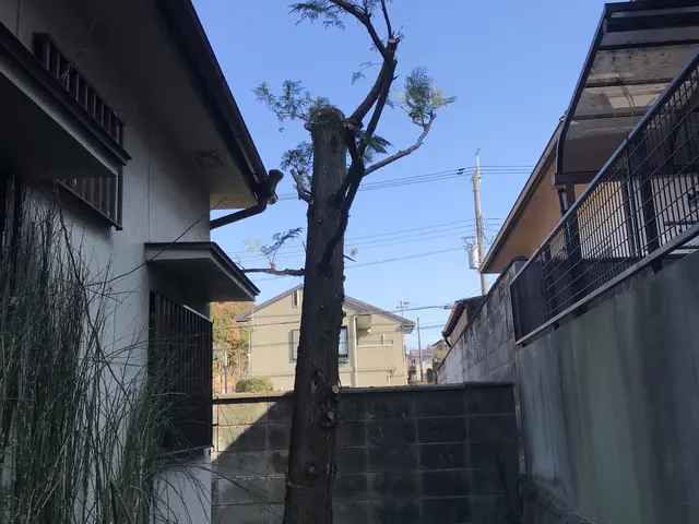 【岸和田市発】駐車代当店負担◎営業時間外・対応地域外もご相談ください！サービスの画像