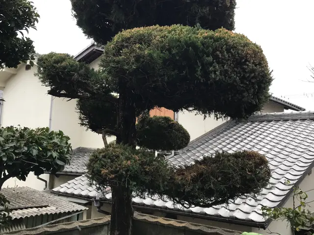 【岸和田市発】駐車代当店負担◎営業時間外・対応地域外もご相談ください！サービスの画像