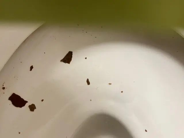 ＜川口市よりお伺いします！＞年中無休で対応中◎大手での業務経験も豊富で安心◎サービスの画像