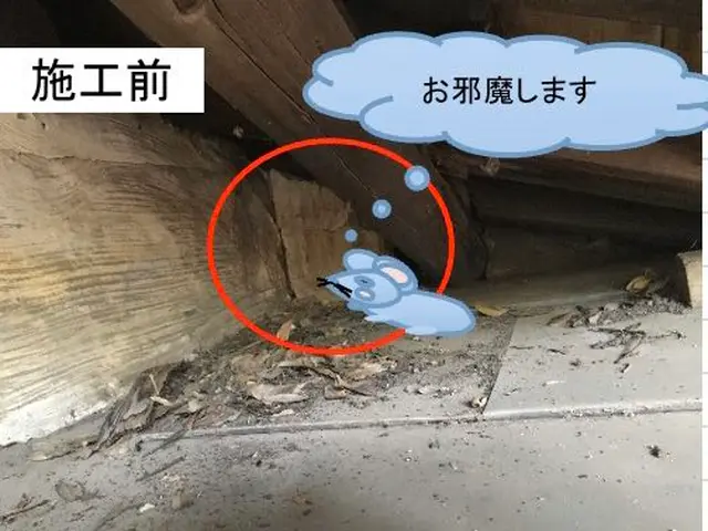 ◆千葉県専門◆見積もり無料◆メールでの相談応じますサービスの画像