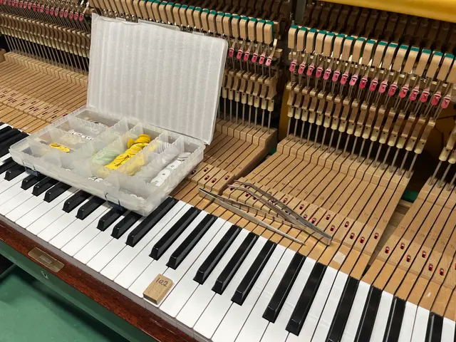 【一級ピアノ調律技能士】調律師14年目  新規出店価格です！月30台の調律を対応サービスの画像