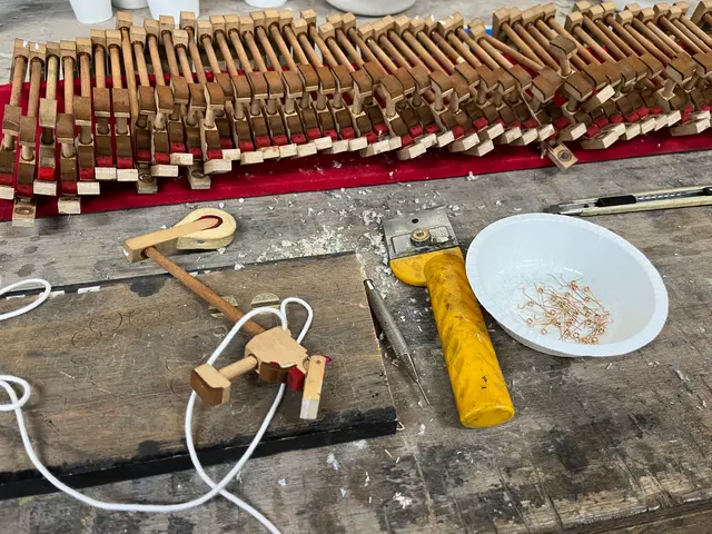 【一級ピアノ調律技能士】調律師14年目  新規出店価格です！月30台の調律を対応サービスの画像