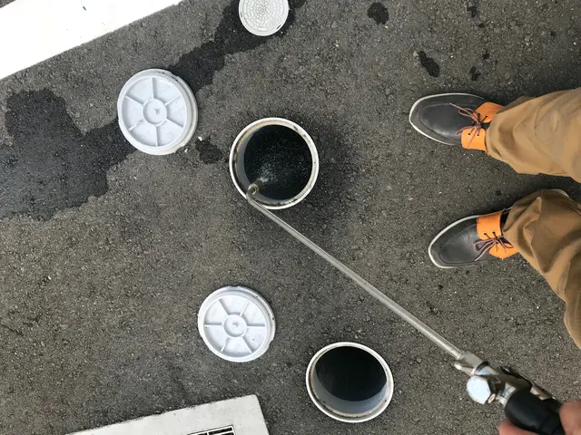 害虫駆除 ゴキブリ駆除サービスの画像