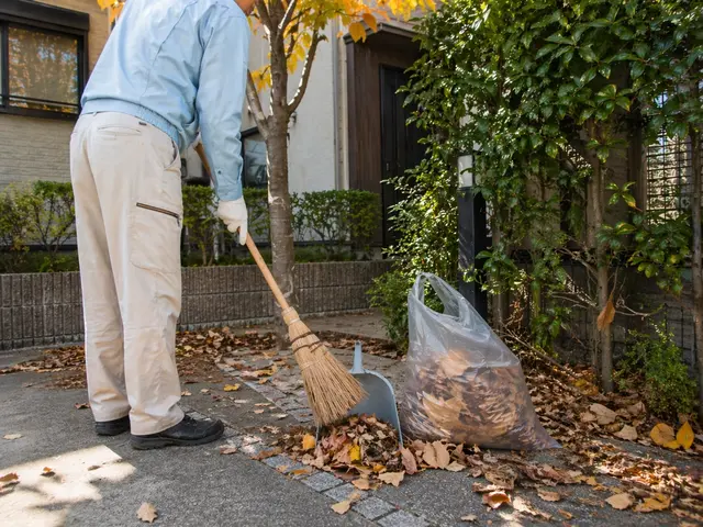 【落ち葉清掃】明朗な料金説明◎丁寧に対応しますサービスの画像