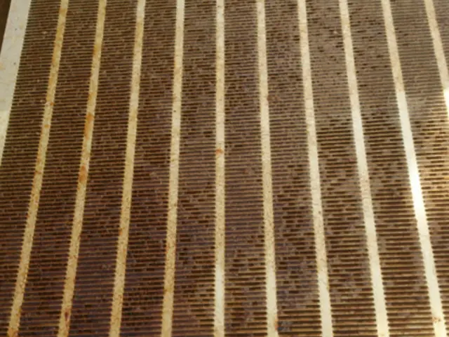 損害保険加入済★駐車場代は当店が負担いたします！レンジフード（換気扇）クリーニンサービスの画像