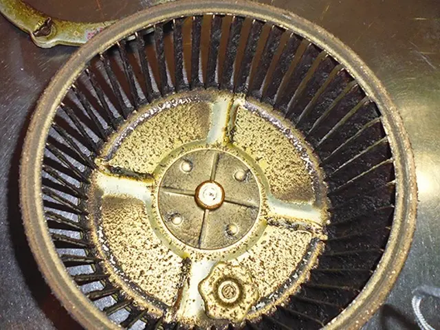 損害保険加入済★駐車場代は当店が負担いたします！レンジフード（換気扇）クリーニンサービスの画像