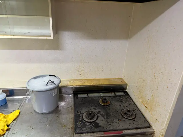 元プロキックボクサーの清掃！作業中のセキュリティー面はご安心下さいませ。サービスの画像