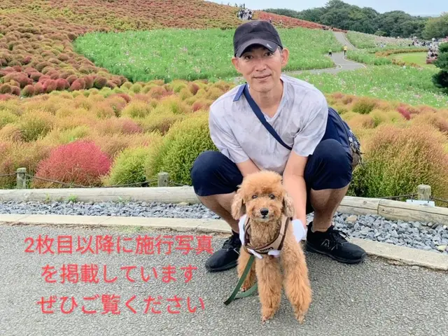 【地域密着　ＬＥＤ電球代込み】電気工事士が伺います！損害保険加入済みで安心ですサービスの画像