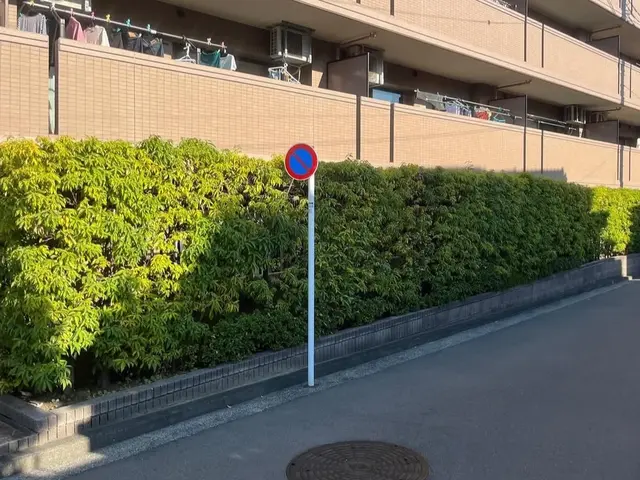 ☆日曜日限定価格☆祖父の技を受け継ぐ、お客様に寄り添った庭木のプロフェッショナルサービスの画像