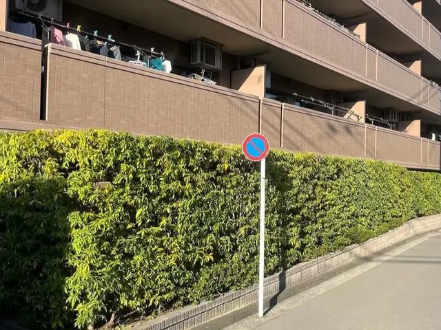 ☆日曜日限定価格☆祖父の技を受け継ぐ、お客様に寄り添った庭木のプロフェッショナルサービスの画像