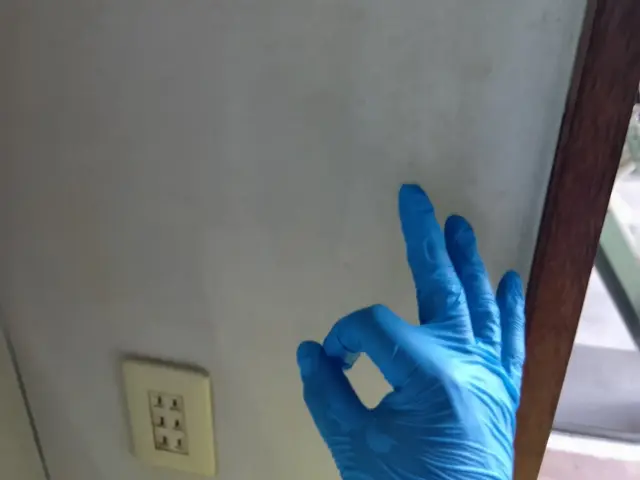 【壁紙クロスのカビ除去専用。】マンション5平米未満のカビ除去特価◆墨田周辺〜千葉サービスの画像