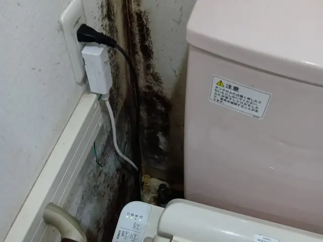 【壁紙クロスのカビ除去専用。】マンション5平米未満のカビ除去特価◆墨田周辺〜千葉サービスの画像