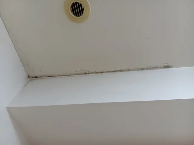 【壁紙クロスのカビ除去専用。】マンション5平米未満のカビ除去特価◆墨田周辺〜千葉サービスの画像