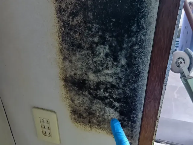 【壁紙クロスのカビ除去専用。】マンション5平米未満のカビ除去特価◆墨田周辺〜千葉サービスの画像
