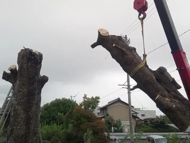 お客様のお力になります！経験と知識を活かして迅速、丁寧、安全に作業いたします。サービスの画像