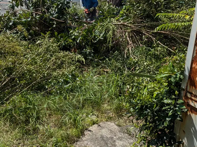 お庭の草むしりご用命ください！　　建設、建築業経験10年以上！！サービスの画像