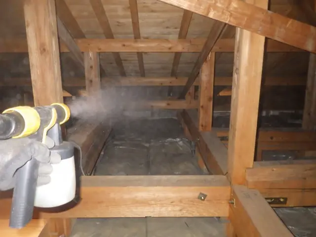 コウモリ駆除歴10年以上の有資格者多数在籍【事前見積り無料】【事前調査可能】サービスの画像