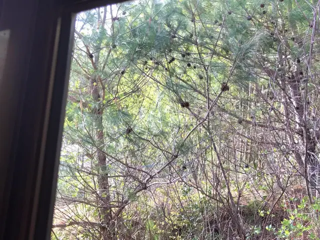 PayPay払い対応！お客様のご要望に迅速・丁寧にお応えいたします！サービスの画像