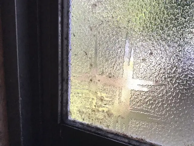 PayPay払い対応！お客様のご要望に迅速・丁寧にお応えいたします！サービスの画像