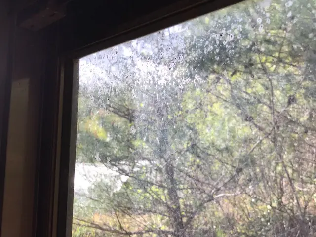 PayPay払い対応！お客様のご要望に迅速・丁寧にお応えいたします！サービスの画像