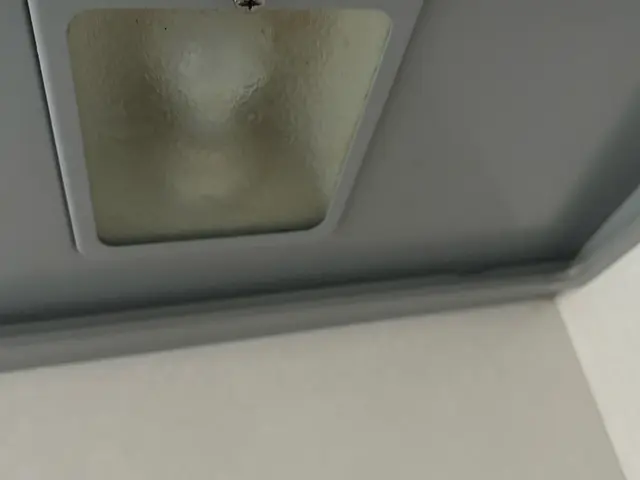 レンジフードサービスの画像