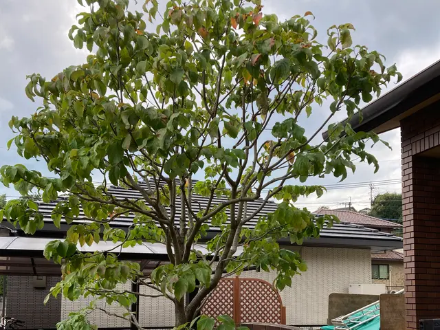 お庭の事なら丁寧な作業と対応でご満足して頂ける（株）庭づくりへ御依頼下さい。サービスの画像