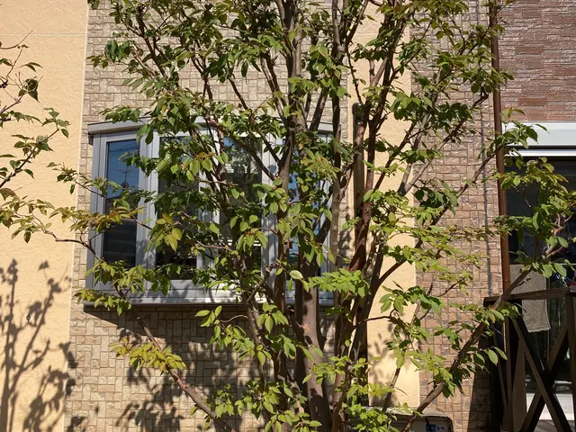 お庭の事なら丁寧な作業と対応でご満足して頂ける（株）庭づくりへ御依頼下さい。サービスの画像