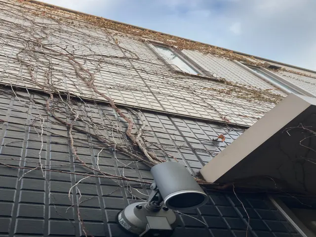 安全第一！迅速・丁寧な作業で、お庭の悩みを解決します！サービスの画像