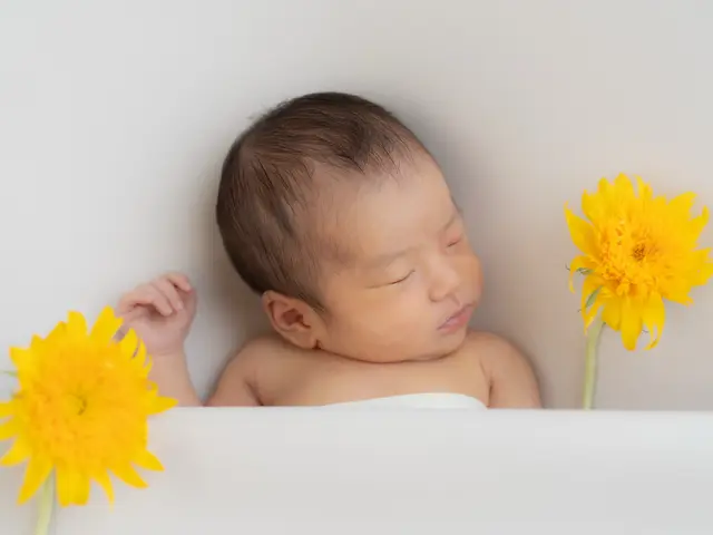 【ママフォトグラファー】ご家族に寄り添った撮影＊ご予約前にメッセージ下さい＊