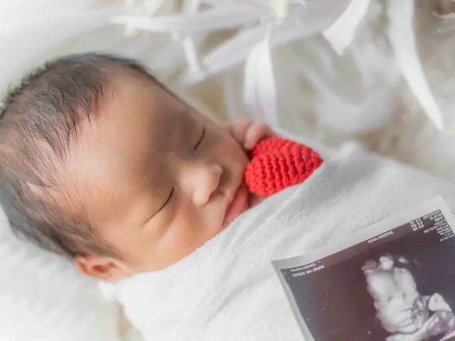 【ママフォトグラファー】ご家族に寄り添った撮影＊ご予約前にメッセージ下さい＊