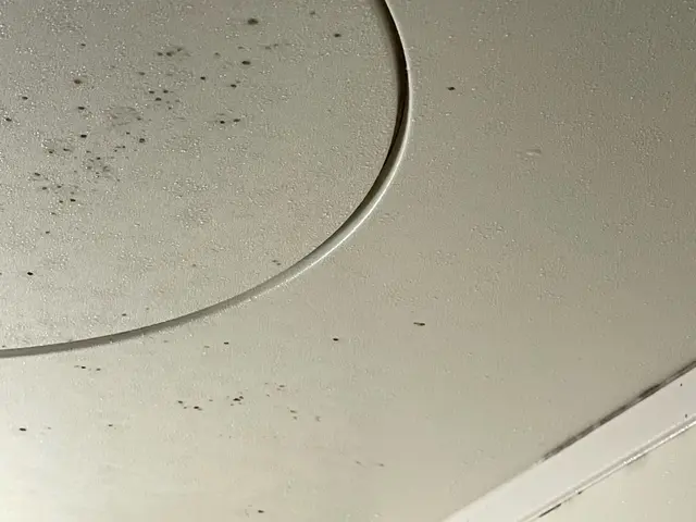 【大手業歴14年の実績】女性スタッフでのきめ細やかな作業(無料ご相談下さい)サービスの画像